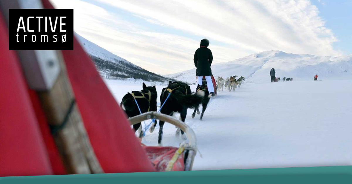 Active Tromso